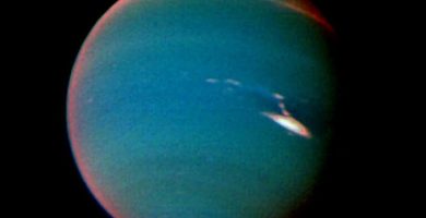 Neptuno (NASA)